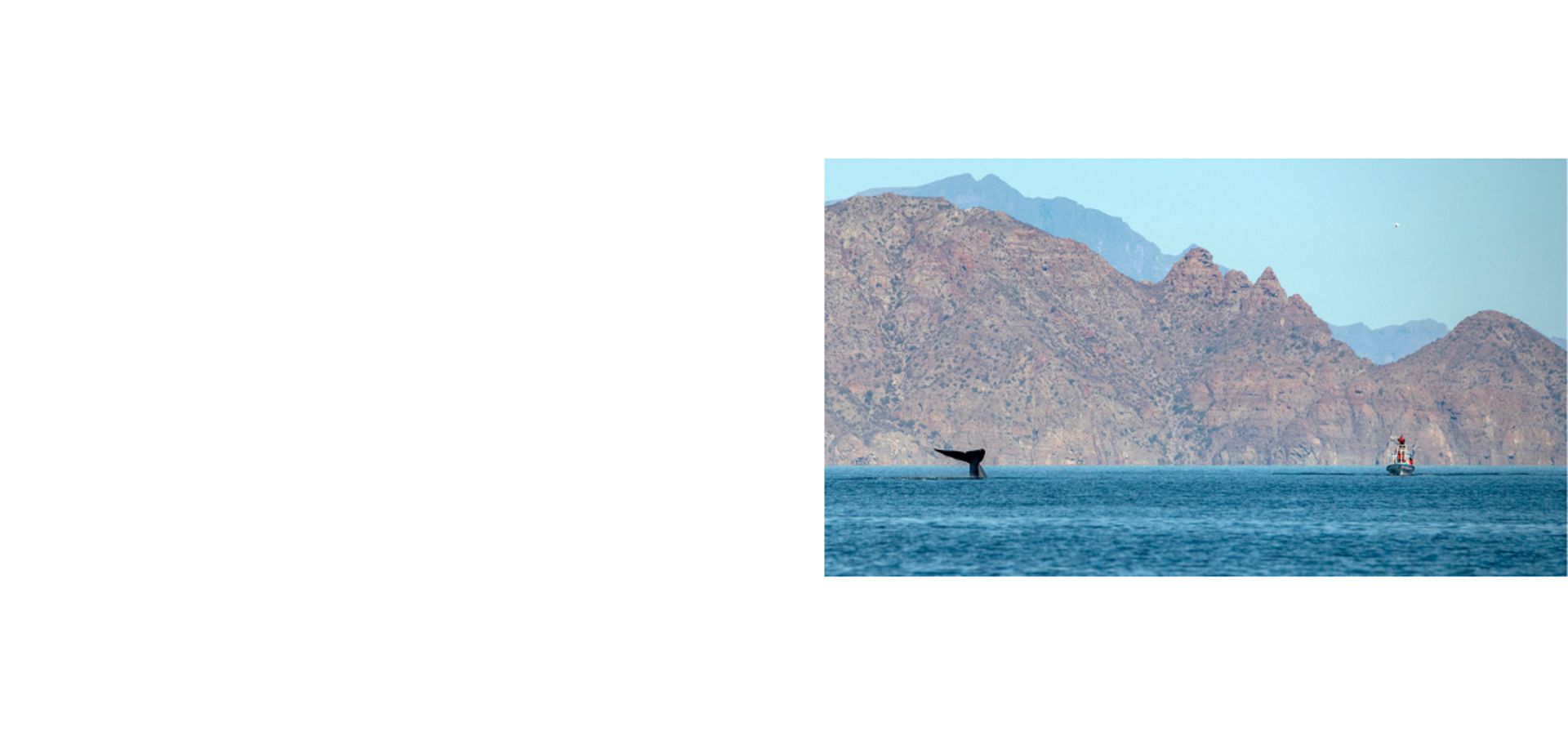 Join our action against Santander Bank.