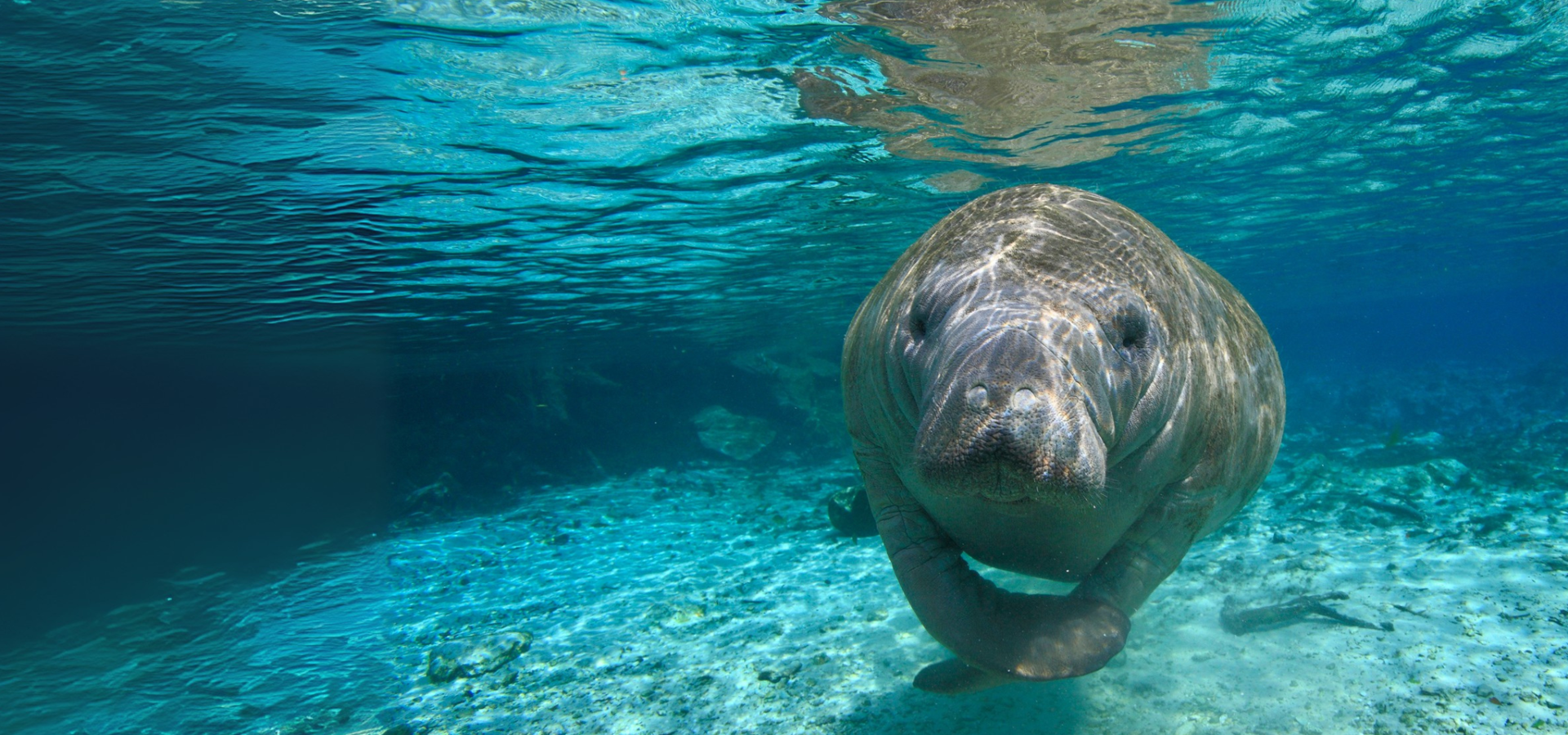 Our planet is under threat.