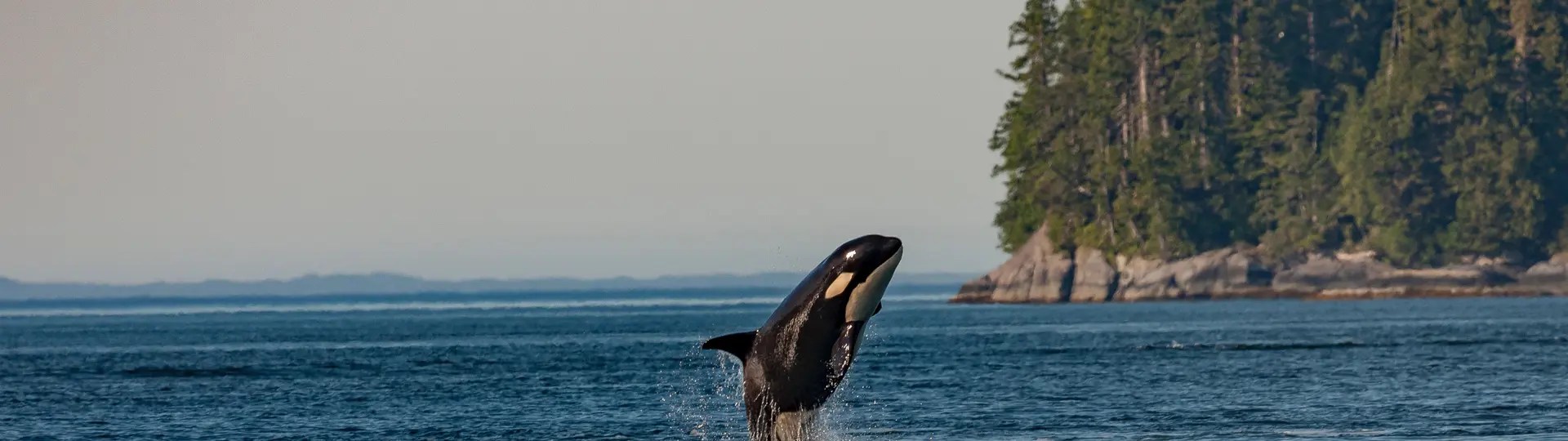 About us | ClientEarth