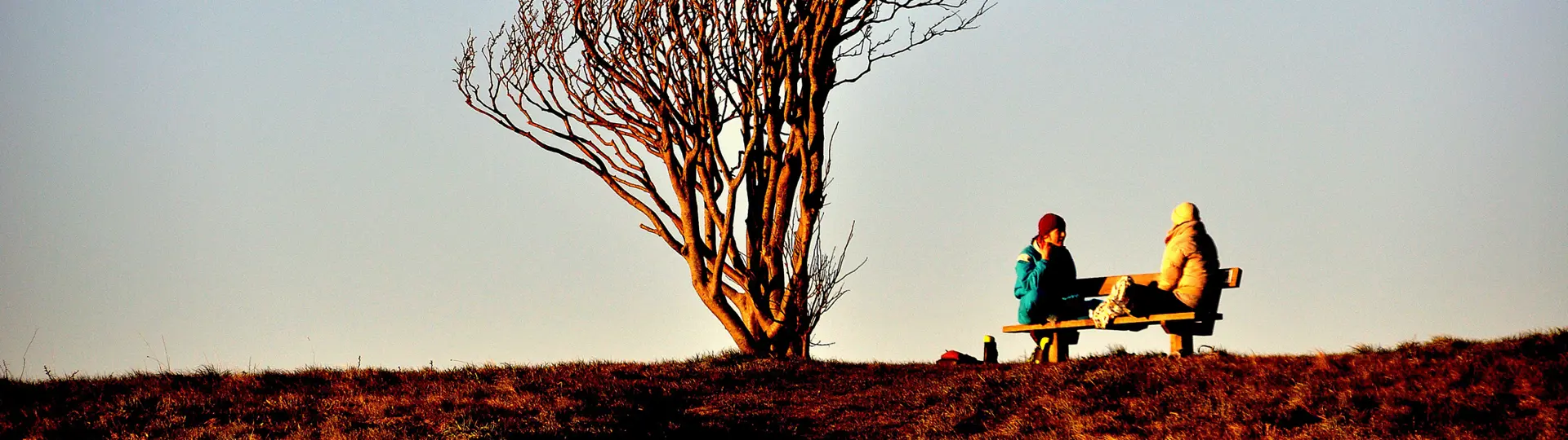 People sitting on a bench in the sun