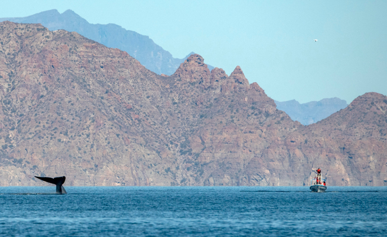 Join our action against Santander Bank.