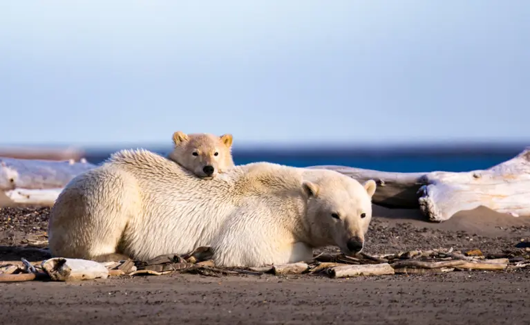 Triple your impact for the planet.