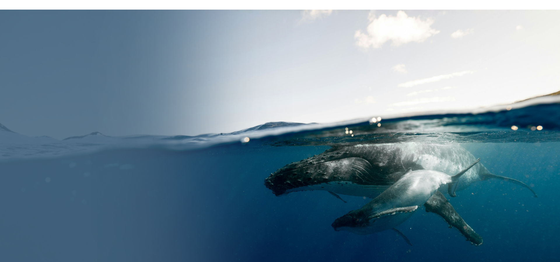 Earth Day: All donations 2x matched 