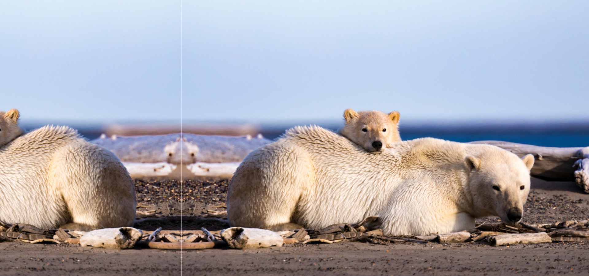 Triple your impact for the planet.